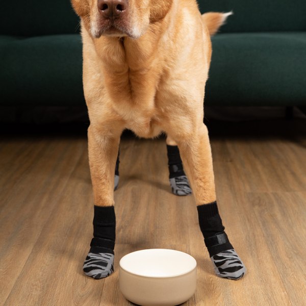 4 Pack Cat Hund vandtætte skridsikre sokker XL