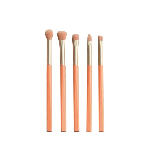 Makeup Brush Set - 5 Borstar med Hållare Orange Orange