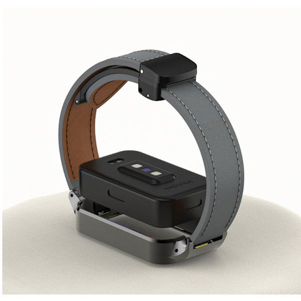 Redmi Band 3 Magnetisk vikbar metallramrem Grå