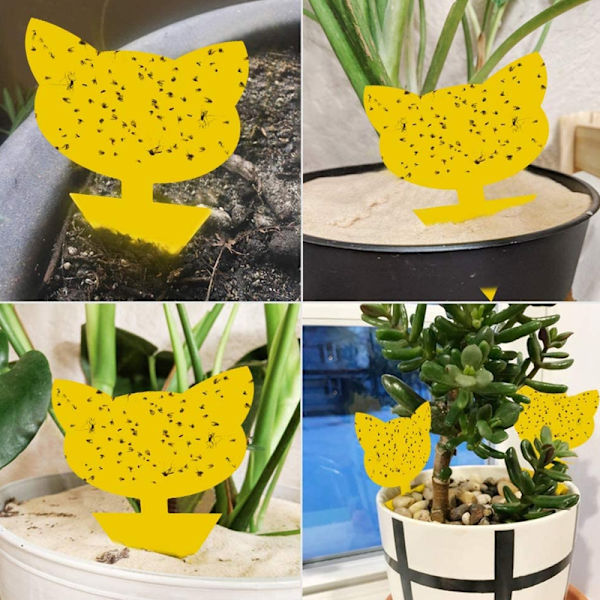 INF 60-pack Flugfångare / Flugfälla / Klibbig insektsfälla Gul