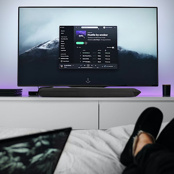 Bose TV Speaker -kaiuttimen pölysuoja (005.002.00069)