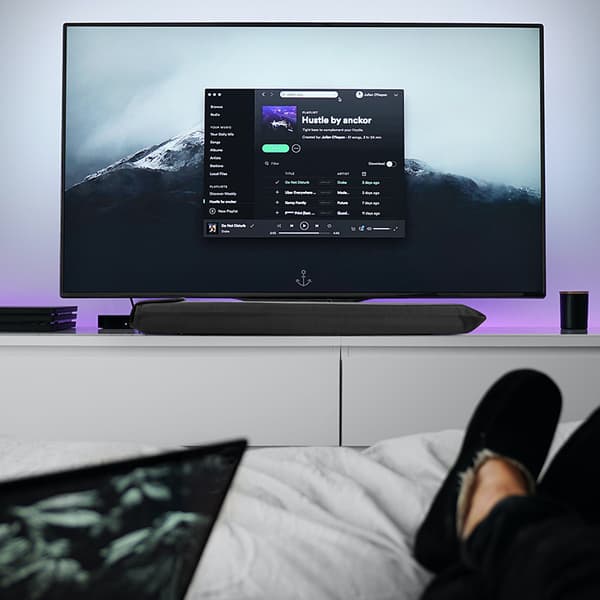 Dammskydd för Bose TV-högtalare (005.002.00069)