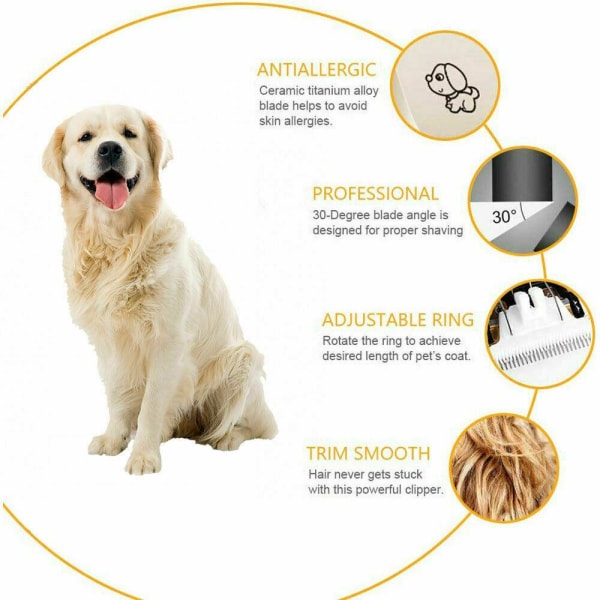 INF Hundtrimmer med tillbehör Svart/Guld