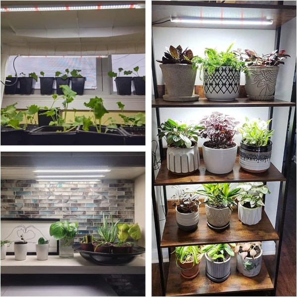 Växtbelysning odlingsljus för inomhusväxter, med fullt spektrum och timer Vit