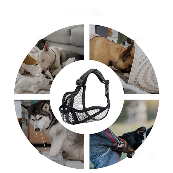 Hundehvalp til kortnæsede hunde M