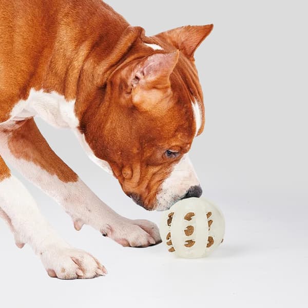 Selvlysende godbidsdispenserende hundelegetøjsbold - 5cm, 6cm, 7cm sæt, interaktivt legetøj til hunde