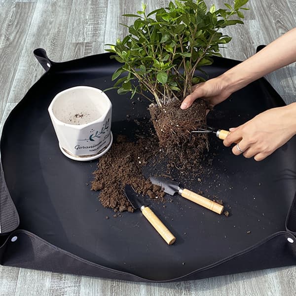 Vedenpitävä istutusmatto puutarhakasveille Black Black