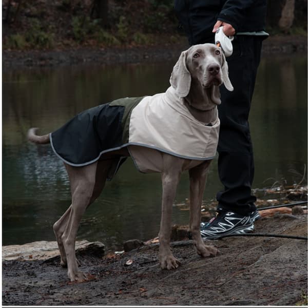 Forårs vandtæt og vindtæt regnfrakke til store hunde med farveblokdesign og polyester S S