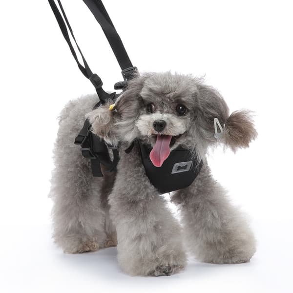 Multifunktionell hundsele med handtag S S