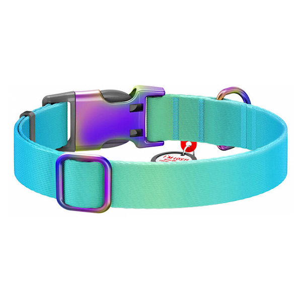 Hundhalsband i nylon med QR-kod WAUDOG 15 mm bred, 25-35 cm lång blå