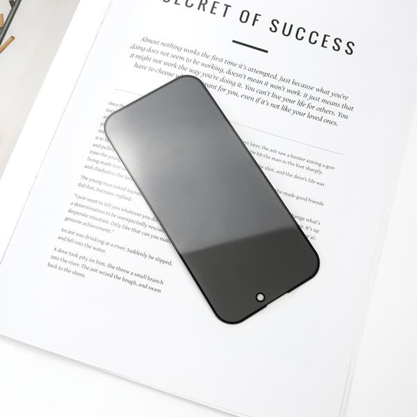 Skärmskydd av härdat glas med integritetsskydd för iPhone iPhone 16 Pro