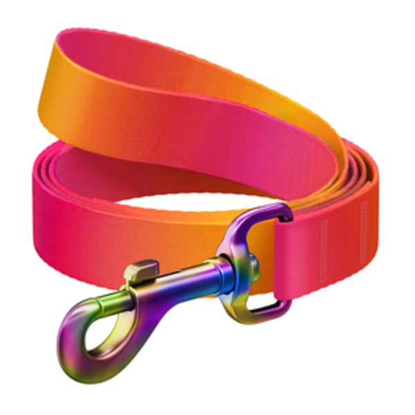 WAUDOG gradient hundkoppel i nylon, 20 mm brett, 122 cm långt, orange