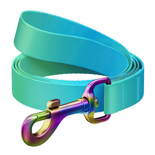 WAUDOG gradient hundkoppel i nylon, längd 122 cm blå