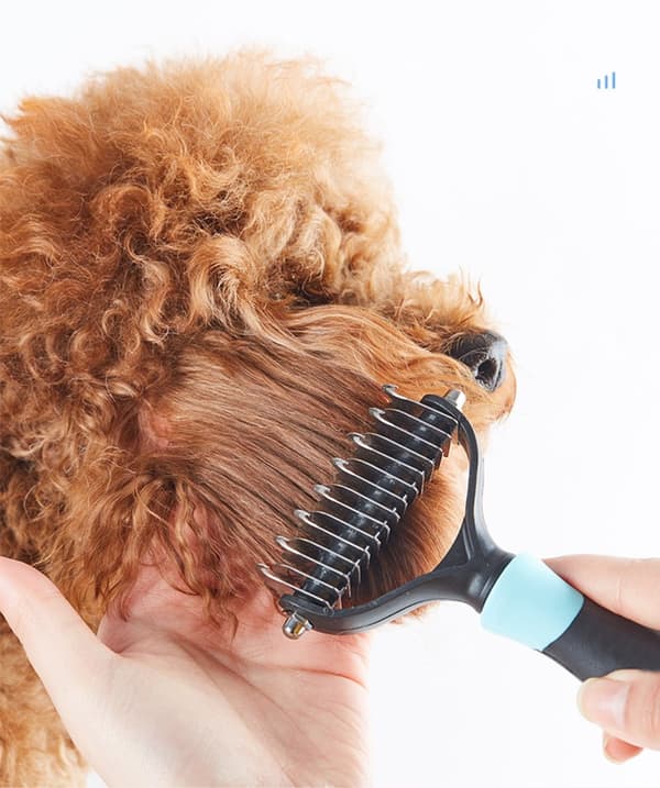 Filtfjerner underuldskam til hund og kat Black+Blue Black+Blue