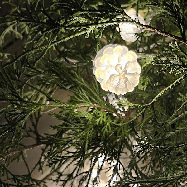 Pine 10m ljusslinga vita ljusskimrande kottar