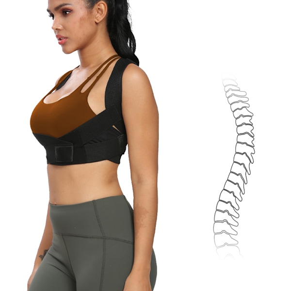 Posture Corrector Back Brace - Svart M