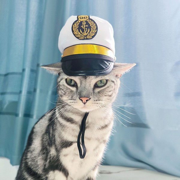 Kæledyr Hovedbeklædning - Sødt Kostume til Katte og Små Hunde Model 4