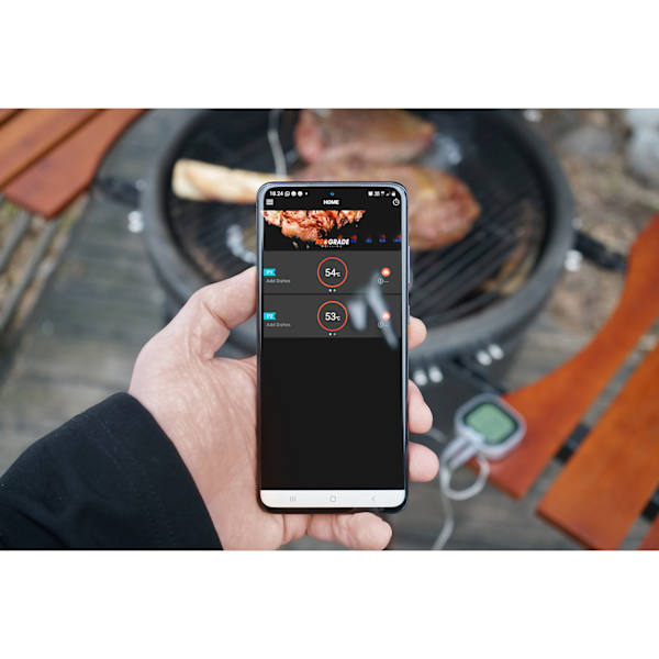 Digital thermometer