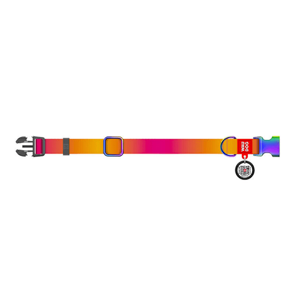 Waudog gradient hundhalsband i nylon med QR-kod, orange, storlek M