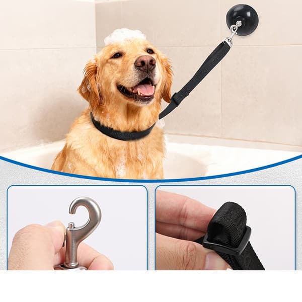 Hundbadkar Sugkopp Koppelfäste - Säker Trimningskoppel