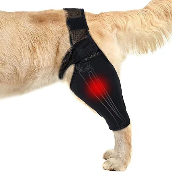 Benstöd för Hund – Andningsbart Knästöd för Frakturåterställning S