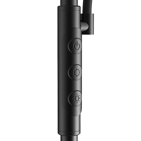 Dobbeltgulvlampe med fjernbetjening BlitzWill BWL-FL-0001, 36W (sort)