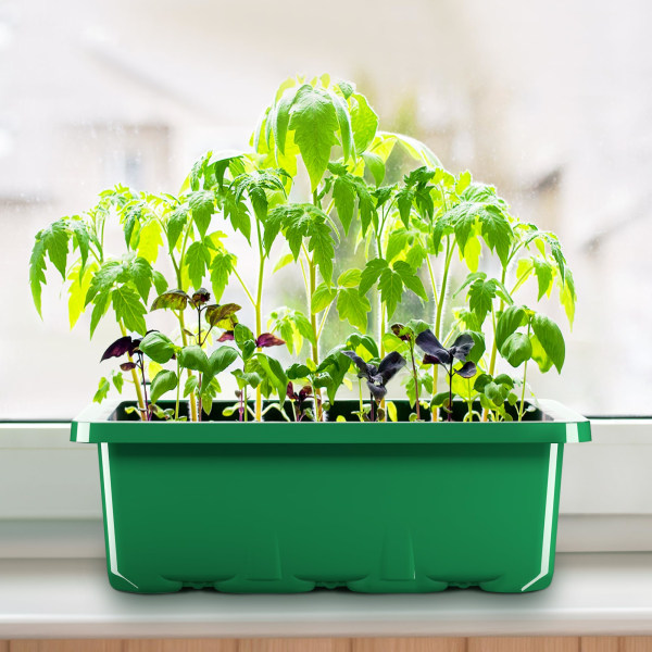 Förökningsbricka Krukor, Startbrickor för plantor 12 celler per bricka Träd