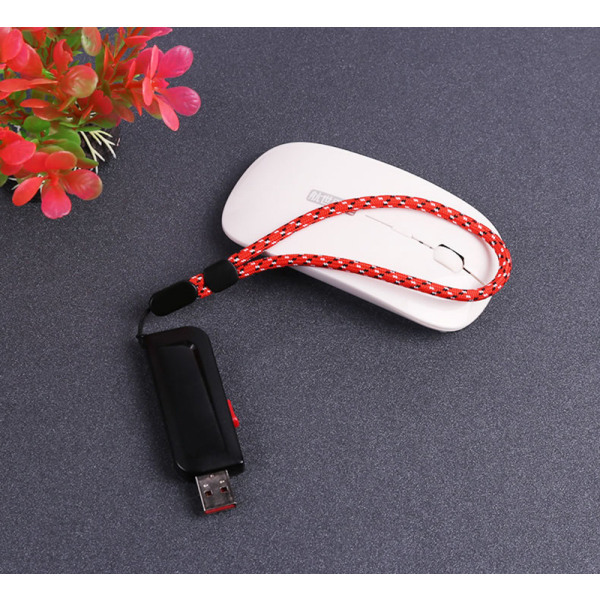 5-pack telefonlinsrem för mobiltelefon USB-enhet nyckelring DIY Flerfärgad 23 cm