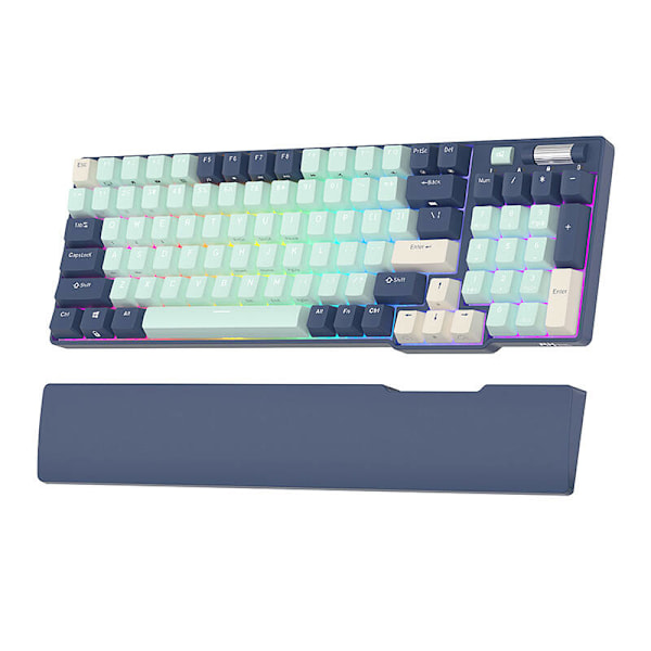 Mekaniskt tangentbord Royal Kludge RK96 RGB, brun switch (blå)