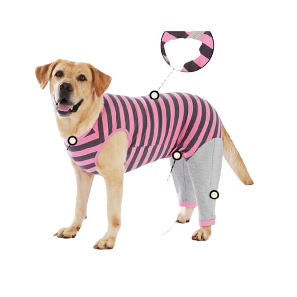 Corgi Teddy Små til Store Hunde Tøj - Efterårs- og Vinterbeklædning til Kæledyr Pink S Pink S