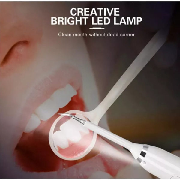 Elektrisk tandbørste tandstensfjerner sæt 6-delt Hvid