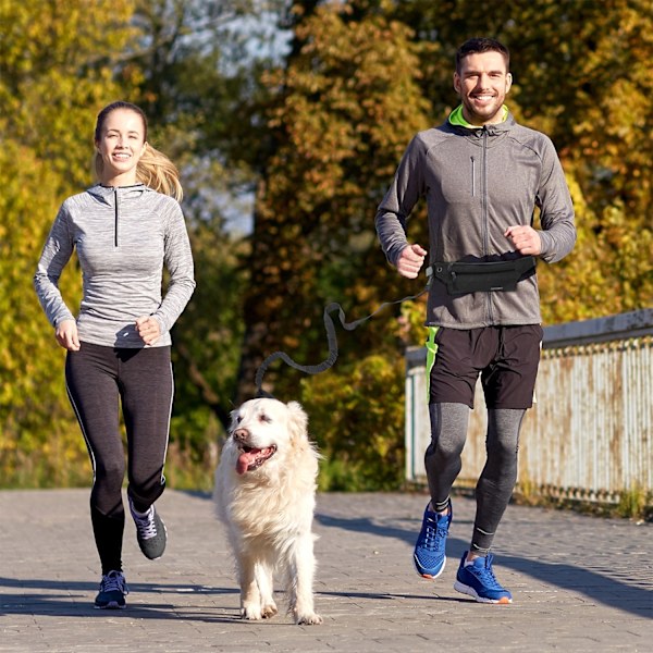 Hundesnor håndfri med taljetaske Sort
