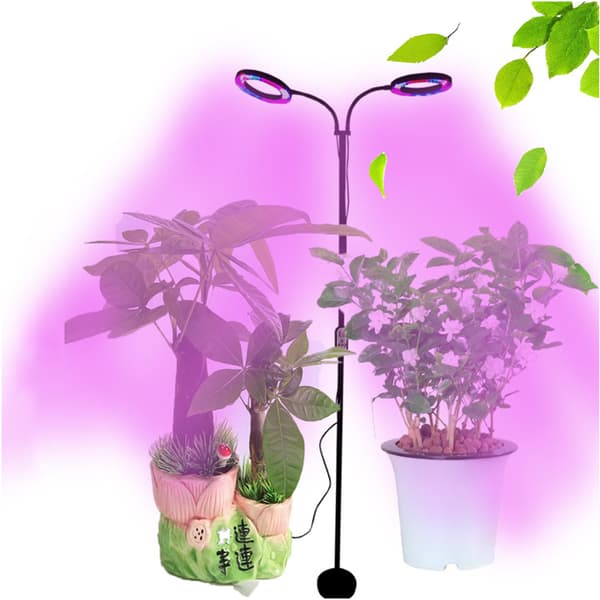 Rund Pladesamling Stang Dobbelthovedet Plantelys (EU-stik)