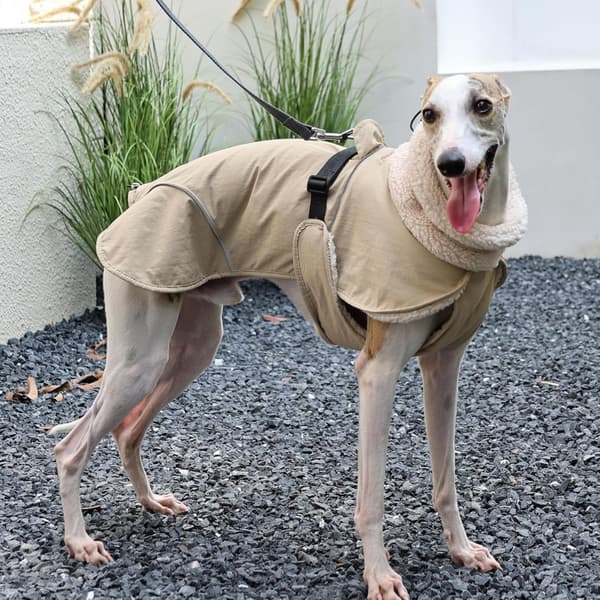 Funktionel Varm Vinterfrakke til Hund - Isoleret og Vindtæt Jakke til Kæledyr M M