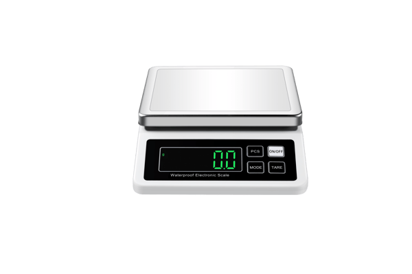 Elektronisk Digitalvåg White 10kg/1g White