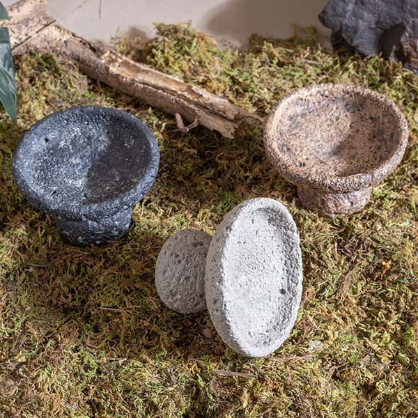 Højbenet Foder- og Vandskål i Cement til Krybdyr - Naturligt Design Black Black