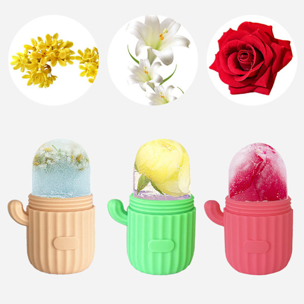 Kaktus Ansiktsisform - Grå Rosa - Boxförpackning