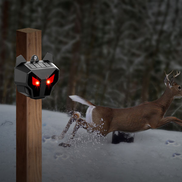 Solar Animal Repeller med rødt LED lys 2-pak Sort