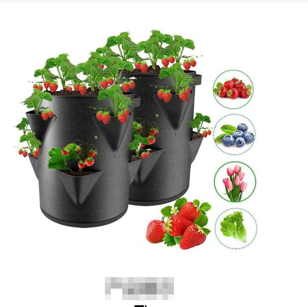 Filt Have Grøntsags Plante Dyrkningsposer S S
