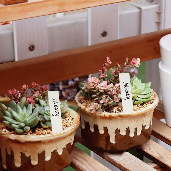 Växtetiketter / Plantskyltar för Enkel Växtidentifiering - 100 pack Vit 10x2 cm