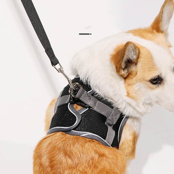 Åndbar hundesele og snor L