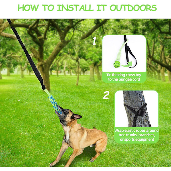 INF Boll för Dragkamp med Hund