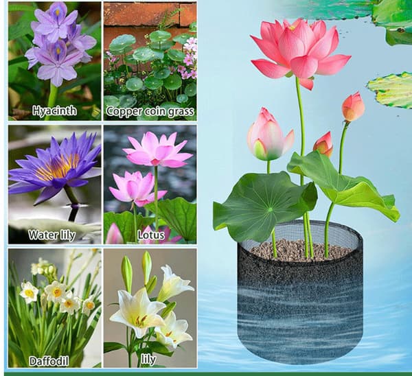 Mesh Aquatic Plant Pot - Set om 4 för vattenträdgårdar Square