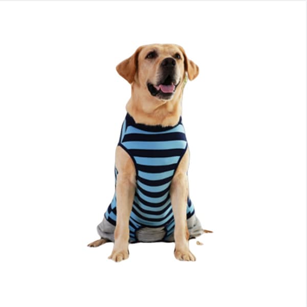 Corgi Teddy Små til Store Hunde Tøj - Efterårs- og Vinterbeklædning til Kæledyr Blue S Blue S