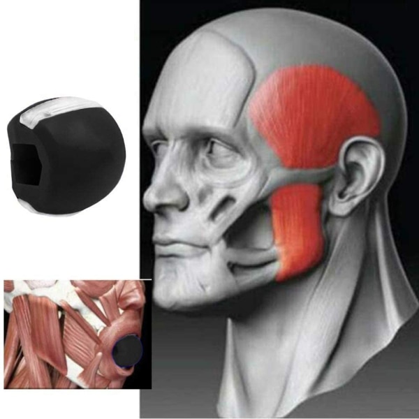 Käktränare 3-pack Flerfärgad   1 pack