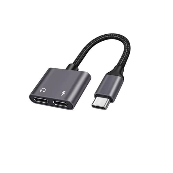 Type-C til USB-C PD60W adapterkabel - PD60W opladning og DAC-lyd til bærbar og telefon - ABS+TPE, grå, 2-i-1