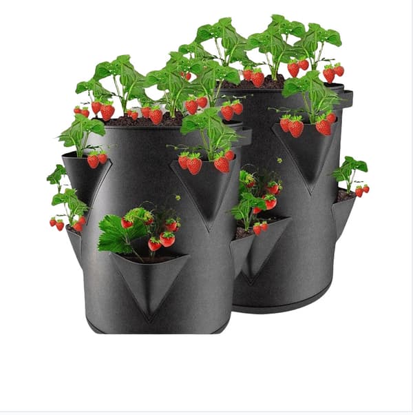Filt Have Grøntsags Plante Dyrkningsposer S S