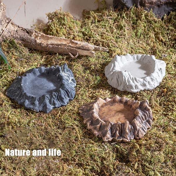 Højbenet Foder- og Vandskål i Cement til Krybdyr - Naturligt Design Black Black