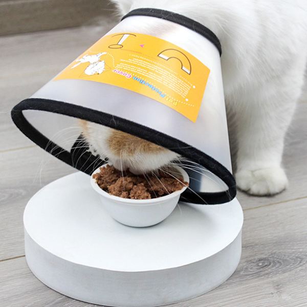 Skyddskrage, konhalsband för husdjur, hund, katt - anti-Bite lick sårläkning Transparent S