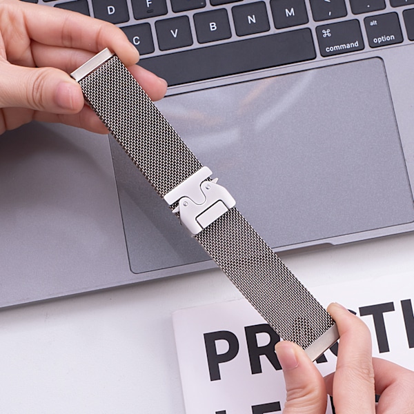 Titaniumfärgad 22mm Universal Rostfritt Stål Klockarmband